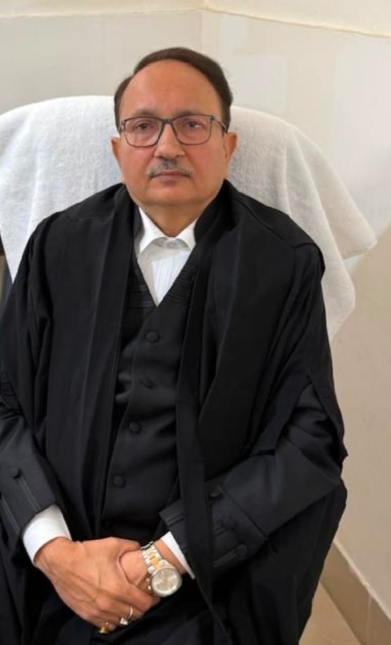 Judge